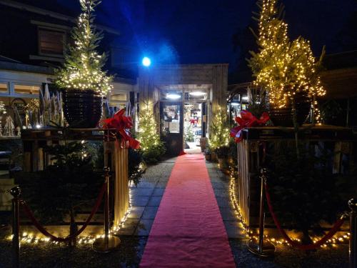 a christmas walkway with christmas trees and lights at Hof van Sellingen in Sellingen