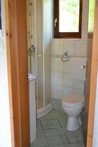 a bathroom with a toilet and a sink and a window at Hisa V Sadovnjaku in Logje