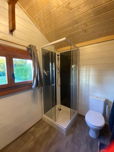 a bathroom with a toilet and a glass shower at Le petit chalet du mouralet in Légna