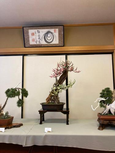 two potted plants on a table in a room at HAKONE DOMA in Hakone