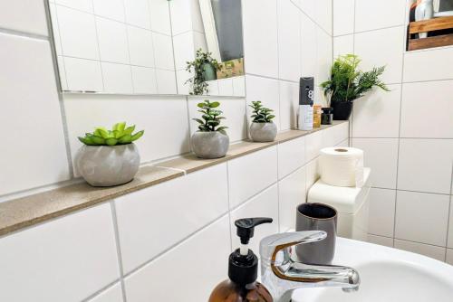 uma casa de banho com um lavatório, um espelho e vasos de plantas em Uhlpartment - im Herzen von Salzwedel em Salzwedel