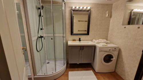 a bathroom with a shower and a sink and a washing machine at TyzenXL Luxury Vilnius Apartments in Vilnius