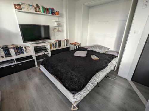 a bedroom with a bed and a flat screen tv at Hyper Centre La Roche sur Yon - Appartement spacieux et lumineux in La Roche-sur-Yon