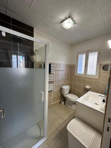 une salle de bain avec une douche, des toilettes et un lavabo dans l'établissement CHEZ COCO ET HERVE étage, à Sigean