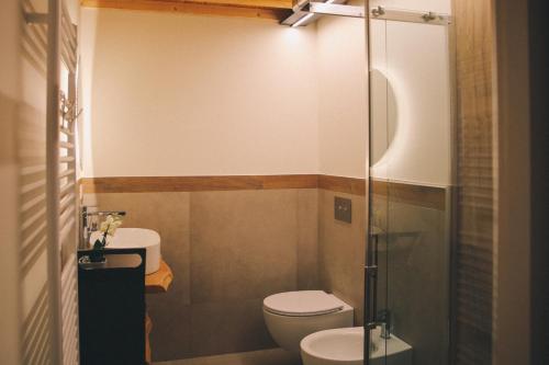 a bathroom with a toilet and a glass shower at Aosta Romana case vacanza in Aosta