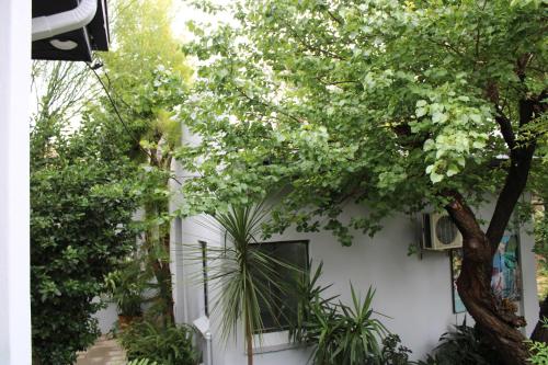 Jardín al aire libre en Jedidja Bed and Breakfast