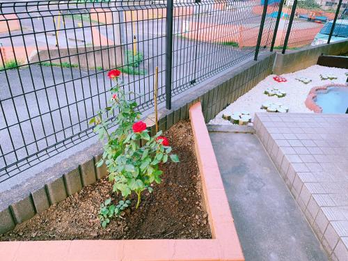 a garden with red roses in a fence at Miyama House in Hachioji