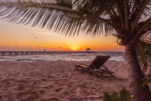 a beach chair sitting under a palm tree on the beach at OBLU NATURE Helengeli-All-Inclusive with free Transfers in North Male Atoll
