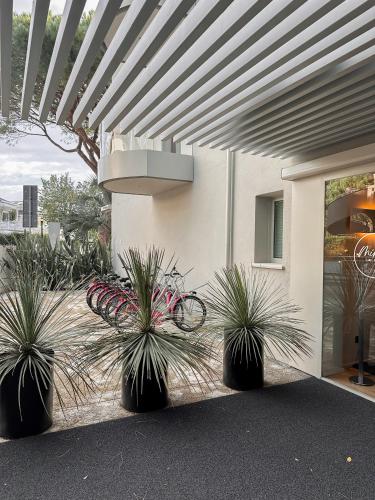 Attività di ciclismo presso l'hotel o nelle vicinanze