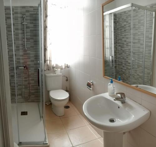 uma casa de banho com um lavatório, um WC e um chuveiro em Hostal Yolanda em Madri
