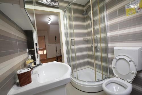 a bathroom with a shower and a toilet and a sink at Capitol Apartmani in Vrnjačka Banja