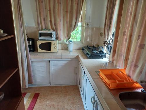 a small kitchen with a microwave and a window at Fleurvilla in Pereybere