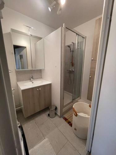 uma casa de banho com um chuveiro, um lavatório e um WC. em Logement entier : appartement ⸱ Chez Slimane em Massy