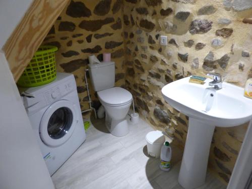 La salle de bains est pourvue d'un lavabo et d'un lave-linge. dans l'établissement Désirée, à Brioude