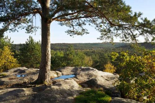 Photo de la galerie de l'établissement Duplex cosy, à Samois-sur-Seine