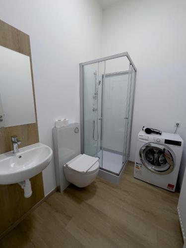 a bathroom with a toilet sink and a washing machine at Holiday home Prague in Prague