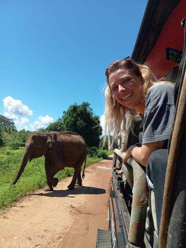 Une femme dans un bus à la recherche d'un bébé éléphant dans l'établissement Tusker's Paradise Safari Villa, à Uda Walawe