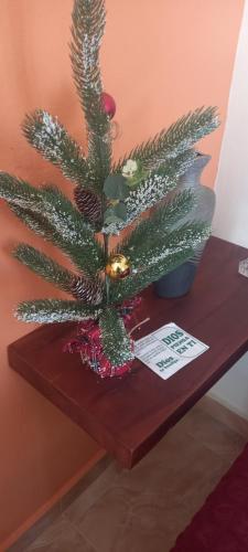 a christmas tree sitting on a wooden table at Apartamento JM. in San Felipe de Puerto Plata