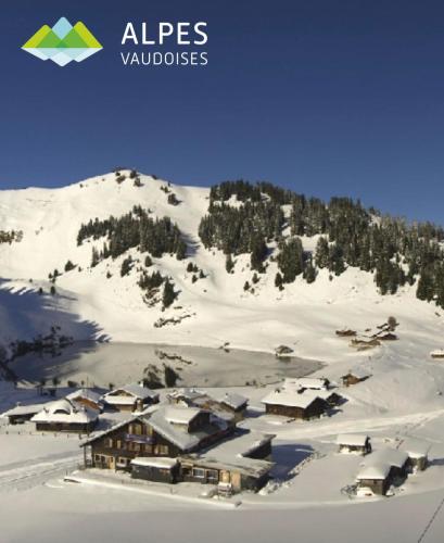 an aerial view of a ski resort in the snow at Hotel du Lac in Villars-sur-Ollon