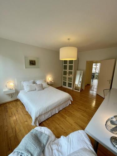 Appartement Hyper Centre Place Kléber 66 m2