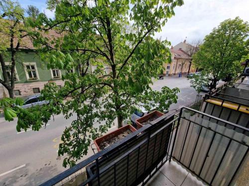 a view of a street with a tree on a balcony at Szofi Apartman in Szeged
