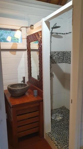 a bathroom with a sink and a shower at Villa de Bois Blanc Strelitzia in Saint-Leu