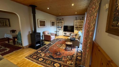 an aerial view of a living room with a rug at Cosy home in a beautiful valley in Tipperary