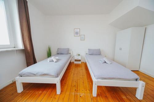Habitación con 2 camas, suelo de madera y ventanas. en City Wohnung Zentral 89-11 en Dortmund