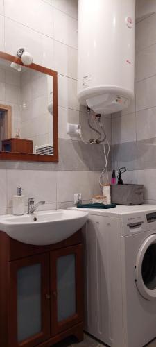 ein Badezimmer mit einem Waschbecken und einer Waschmaschine in der Unterkunft Domek na skraju lasu in Uniejów