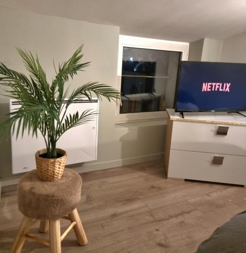 TV a/nebo společenská místnost v ubytování st Laurent cocon