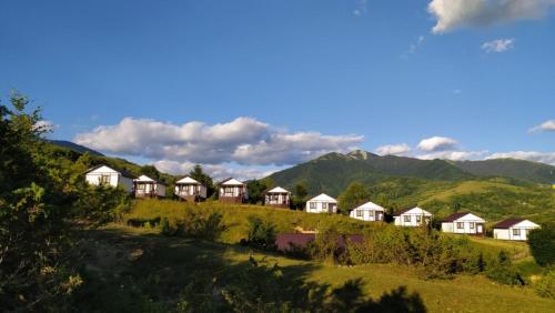 eine Reihe von Häusern auf einem Hügel mit Bergen im Hintergrund in der Unterkunft Kolochava Eco Resort in Kolotschawa