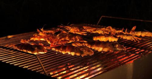 Attrezzature per barbecue disponibili per gli ospiti del campeggio