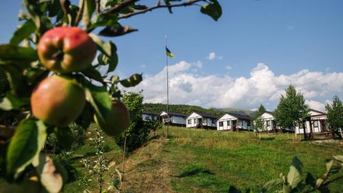 an apple tree in front of a row of houses at Kolochava Eco Resort in Kolochava