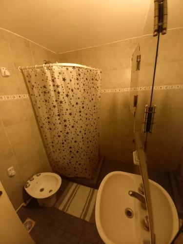 een badkamer met een douche, een toilet en een wastafel bij Duplex Alvear 112 in Venado Tuerto