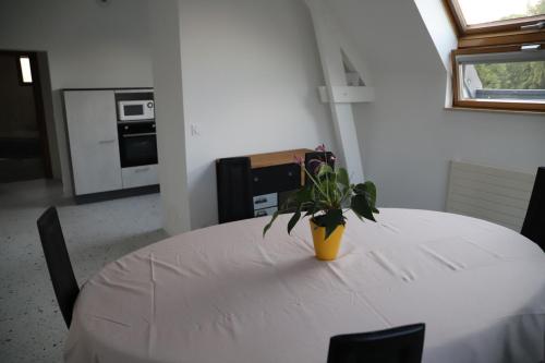 a white table with a plant in a yellow vase on it at Le Parc du Moulin in Montfermeil