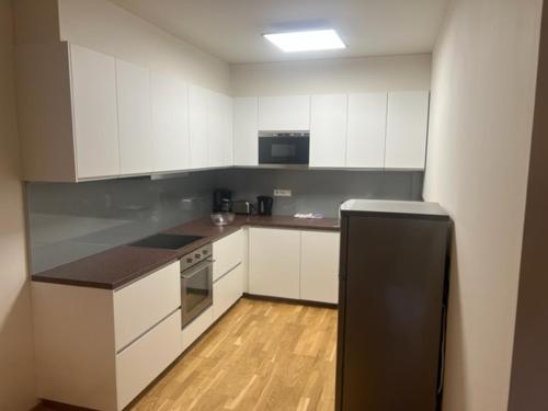 Kuchyň nebo kuchyňský kout v ubytování Apartmán Medvědín