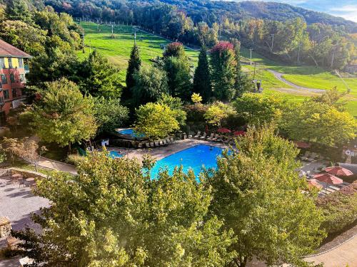 an overhead view of a swimming pool with trees at Cozy Mountain View Condo in Vernon Township