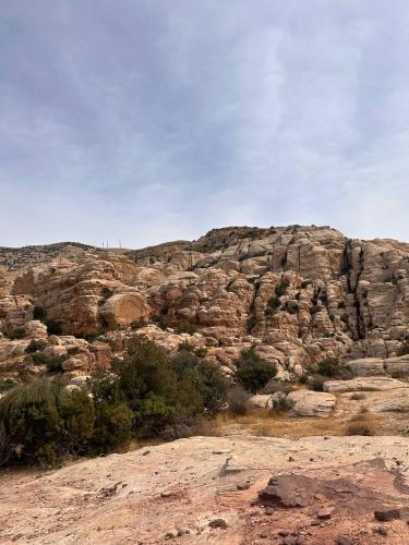 a rocky hillside with trees and a mountain at Dana Rose camp outdoor camping in Dana