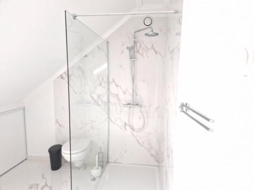 bagno bianco con doccia e servizi igienici di Superbe maison au calme refaite à neuf a Bigonville
