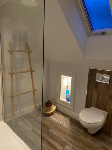 a bathroom with a toilet and a glass shower at Rathlin Sound Apartment, Ballycastle in Ballycastle