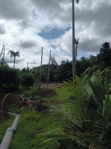 Imagen de la galería de Chom Suan Farmstay, en Ko Kood