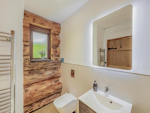 uma casa de banho com um WC, um lavatório e um espelho. em Hollacombe Lodge em Colebrooke