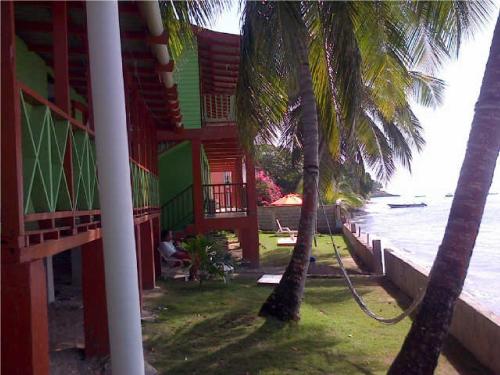 a house on the beach with a rope tied to two palm trees at Cabañas Mister Mac in Providencia