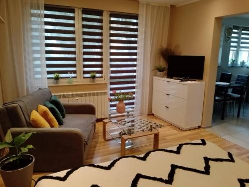Televízia a/alebo spoločenská miestnosť v ubytovaní Apartament Zibi