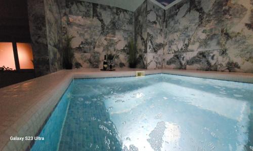 a large pool of water in a room at Villa Bonaca in Vukovar