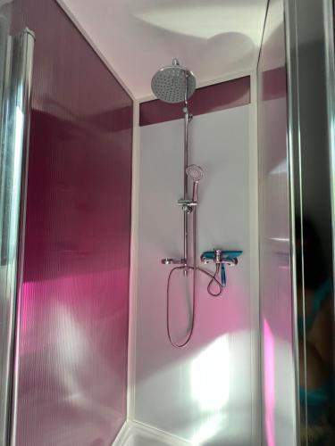y baño con ducha y pared de color rosa. en Gîte La Cerise Qui Rit, en La Cresse