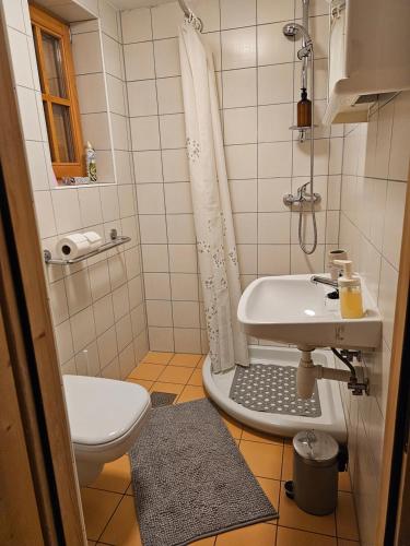 małą łazienkę z toaletą i umywalką w obiekcie Winery & Rural Holiday Home Hren Hiža - Sveti Martin na Muri w mieście Gornji Koncovčak