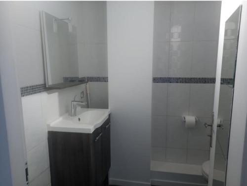 une salle de bain avec un lavabo et une douche avec un miroir dans l'établissement Appartement de charme Toulouse nord, à Aucamville
