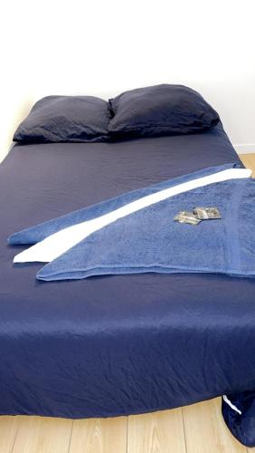 - un lit avec une couette bleue et une épée dans l'établissement Appartement de charme Toulouse nord, à Aucamville