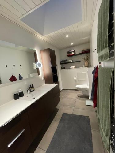 een badkamer met een wastafel en een toilet bij Jelling in Jelling